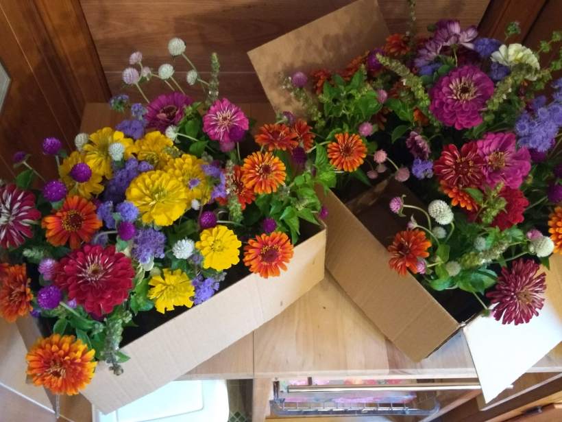 IMG_20180718_140817496