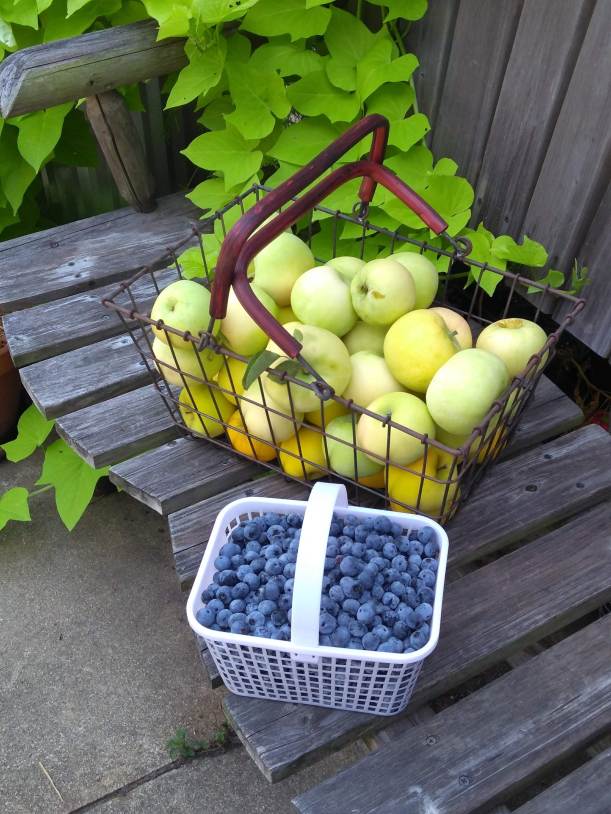 IMG_20180727_153429339