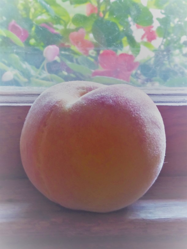 IMG_20180813_112512241