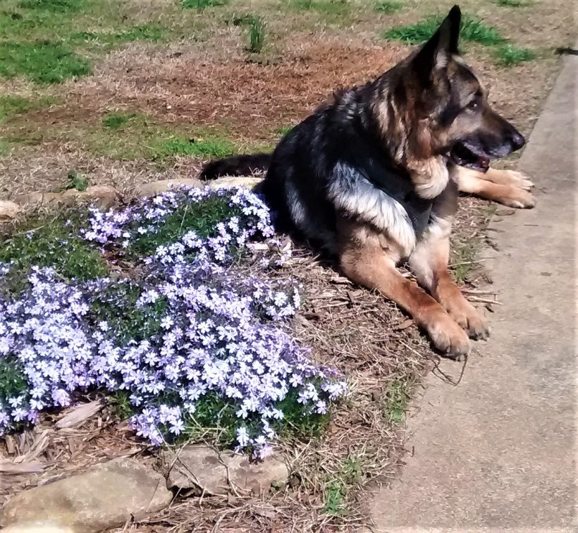 IMG_20180325_145133294