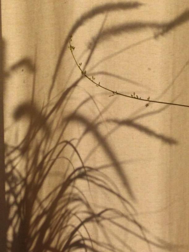 IMG_20180824_084429968