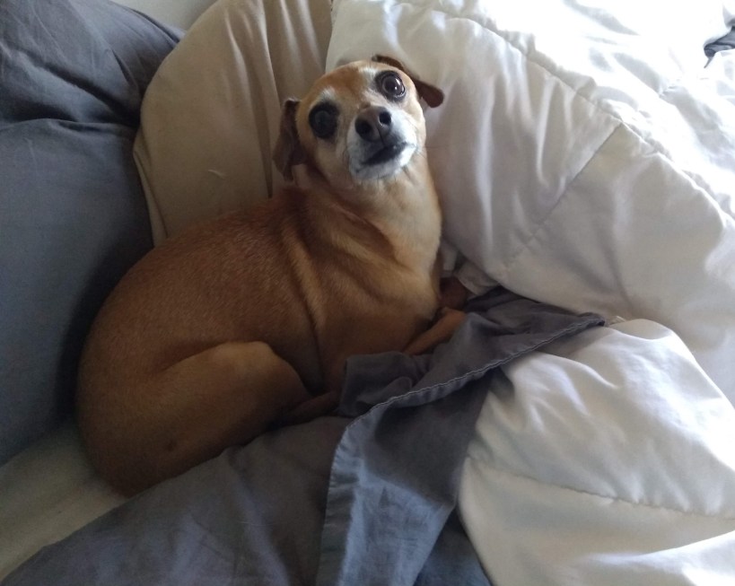 img_20190108_132440377