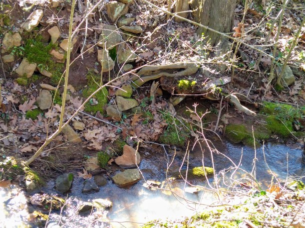 IMG_20190225_145012201