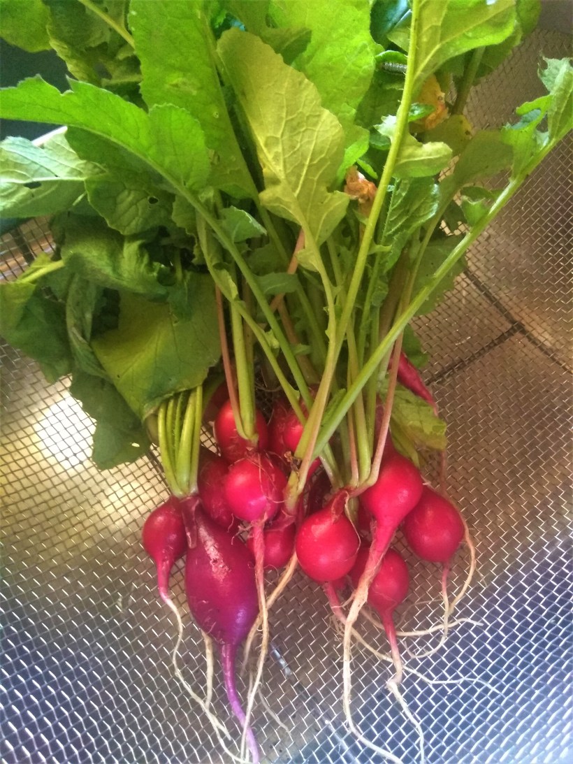 IMG_20190527_132229510