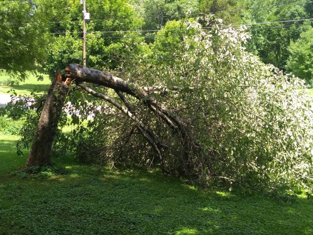 IMG_20190621_114441928