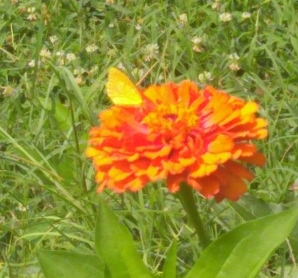 IMG_20190712_112850055