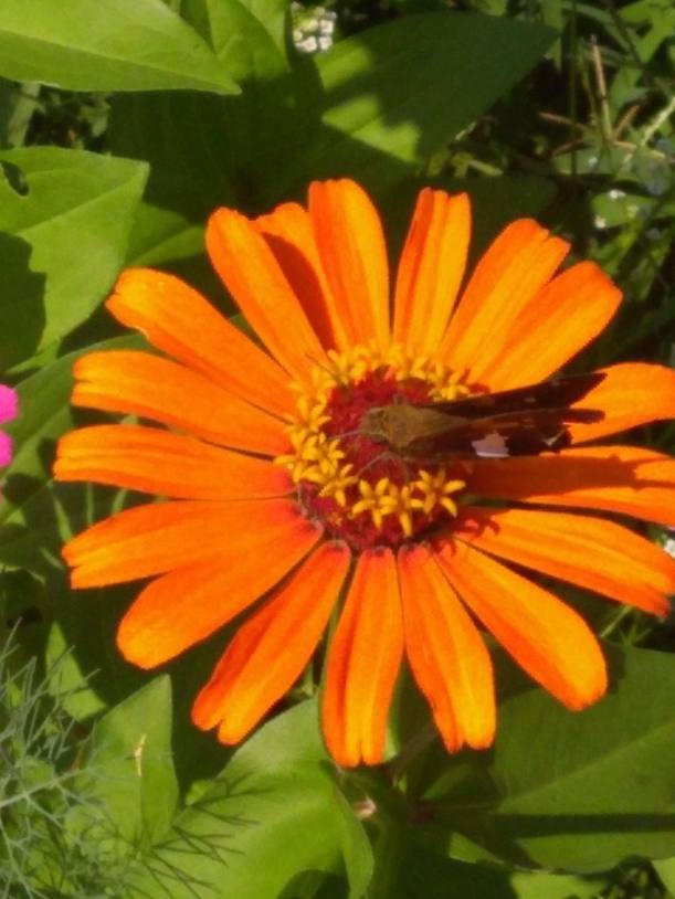 IMG_20190715_110815848