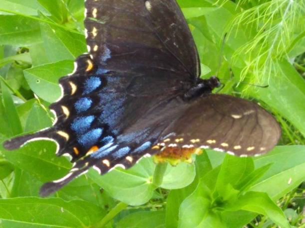 IMG_20190725_174648176