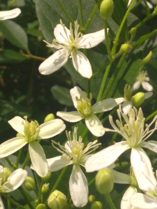 IMG_20190821_120619853