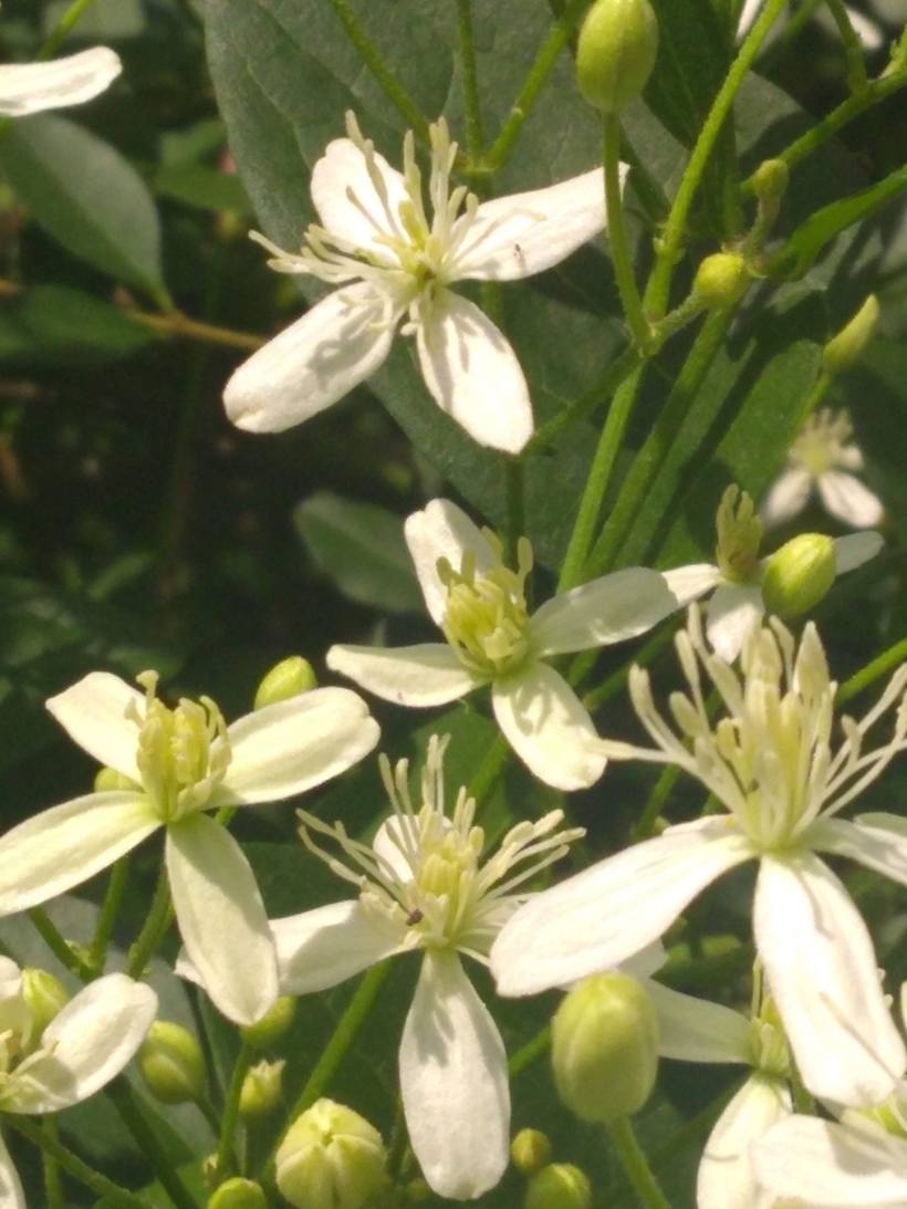 IMG_20190821_120619853