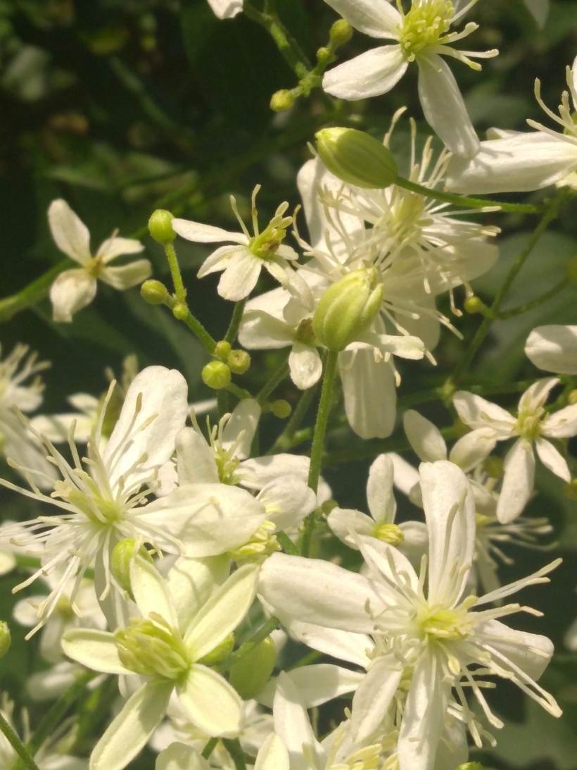 IMG_20190821_120651176