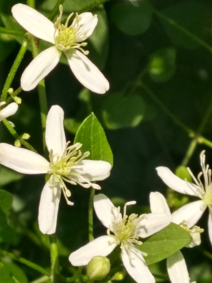 IMG_20190821_120725689_HDR