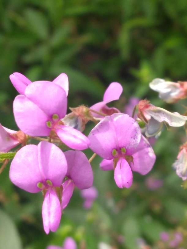 IMG_20190904_124542916