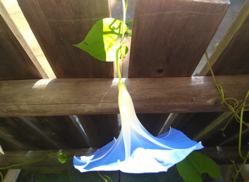 IMG_20190908_085753423