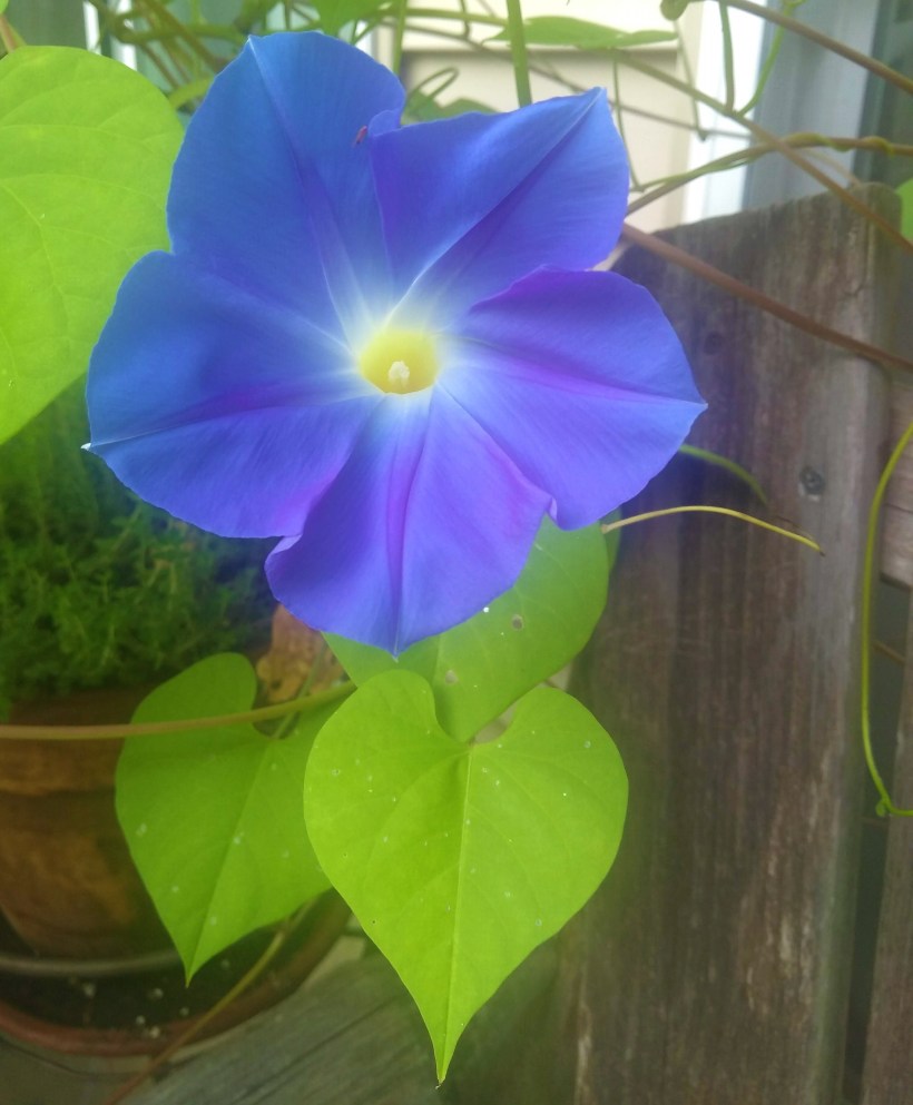 IMG_20190914_080137895